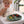 Cargar imagen en el visor de la galería, Silicone Nono Dinosaur Suction Plate - Loden Forest